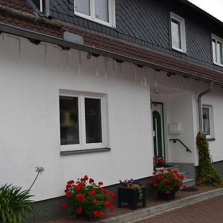 Ferienwohnung "Loni" Benneckenstein Esterno foto