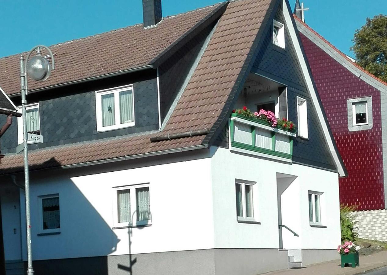 Ferienwohnung "Loni" Benneckenstein Esterno foto